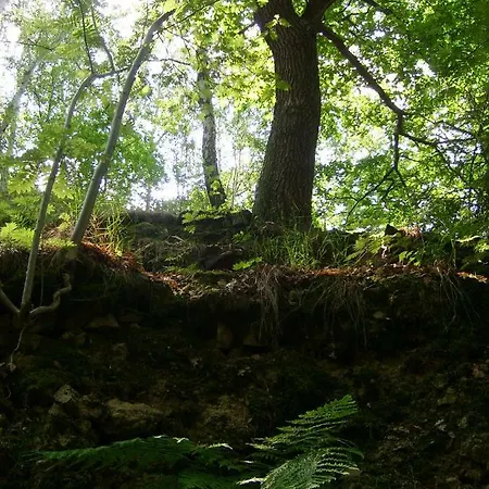 Mit Panoramablick Appartement